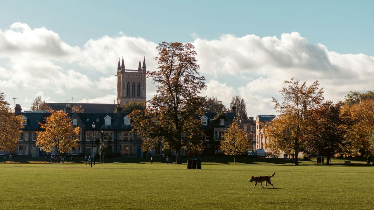 how-to-choose-a-uk-university